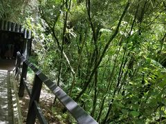 -怀托摩萤火虫洞