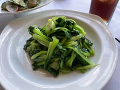 -圆苑(金茂店)