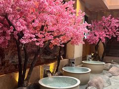 -蓝鲸湾汤泉(包河店)