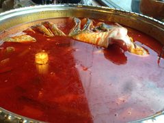 酸汤鱼-芦苇荡·酸汤鱼(回龙观店)