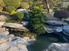 -东莞植物园