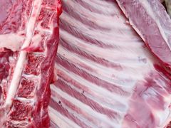 -黑公羊新疆菜(人和店)