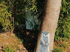 -梅花山(明孝陵内)