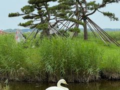 -黑龙江扎龙生态旅游区