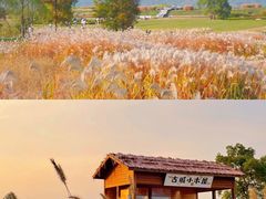 -良渚古城遗址公园