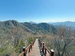 -大岭沟猕猴桃谷风景区