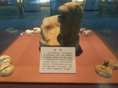 -古陶文明博物馆