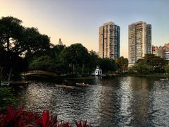 -晓港公园