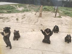 -五龙山野生动物王国
