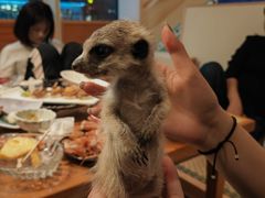 -王鼎精致料理铁板烧(世博源店)