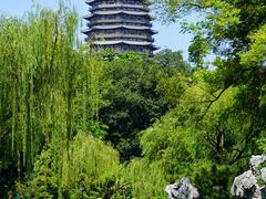 -红梅公园