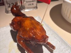 非遗红烧乳鸽-侨美食家·粤菜(体育西路店)