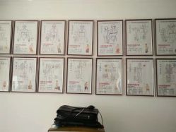 -娇诗尼亚科技健康spa美体连锁