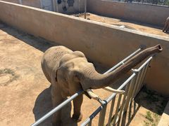 -西霞口神雕山野生动物世界