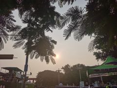 -海珠湖公园