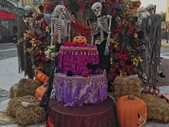 -大连海昌发现王国主题公园