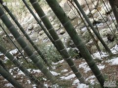 -山沟沟景区