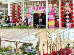 -盈香心动乐园