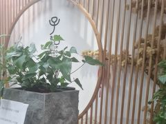 -子曰书院·古筝围棋书法国画小主持(夏都店)