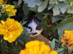 -长辛店二七公园