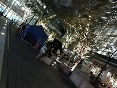 -上海浦东嘉里大酒店