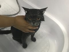 -宠颐生中康贝怡动物医院