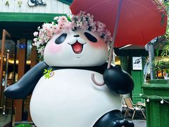 -轩客会(熊猫书店)
