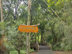-海口火山口国家地质公园