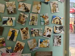 -爱妮康宠物医院·干细胞免疫细胞·肿瘤·心脏(张江店)