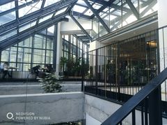 -大树餐厅(红旗街万达店)