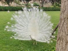 -静之湖度假区