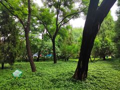 -泰丰公园