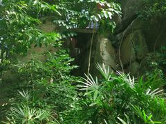 -乌山风景区