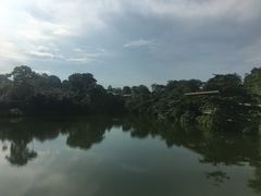-河川生态园
