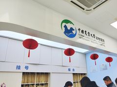 -中国农业大学动物医院
