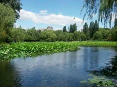 android_upload_pic-紫竹院公园冰场
