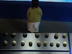 -重庆自然博物馆(新馆)