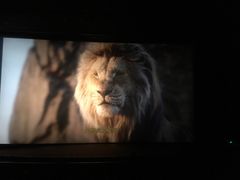 -天幕新彩云国际影城(激光巨幕店)