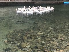 -楠溪江风景名胜区