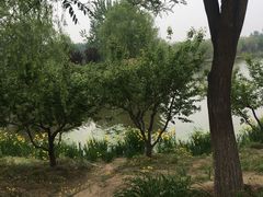 -东郊湿地公园