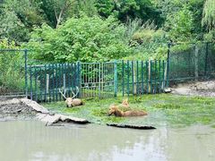 -溱湖国家湿地公园