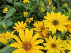 -北京植物园南门售票处