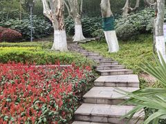 -菊花台公园