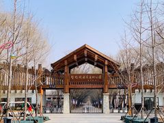 -野鸭湖国家湿地公园