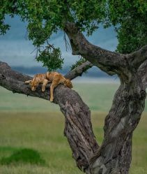 -美肤盾祛痘·问题肌头疗管理中心