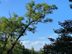 -阳台山自然风景区