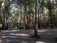 -野三坡百草畔景区