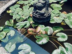 -都江堰普照寺