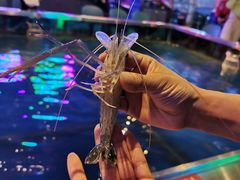 -钳真多钓虾馆·小龙虾海鲜烧烤(九六广场店)