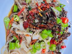 -老家黄墩小错鸡·活海鲜